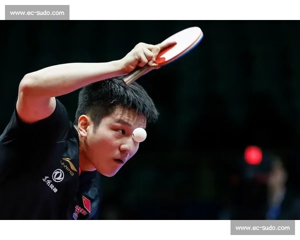 巴黎周期的独行客:樊振东的压力与突围 巴黎周期的独行客:樊振东的压力与突围